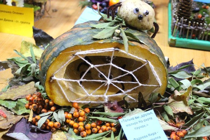 Осенние выставки «весёлых» овощей открылись для избирателей Свободненского района