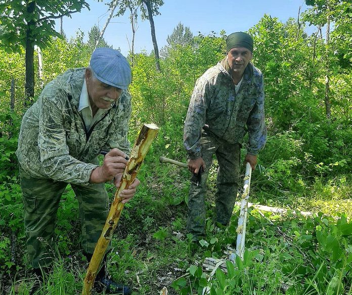Губернатор Василий Орлов: «В Приамурье ведётся большая работа по восстановлению лесов»