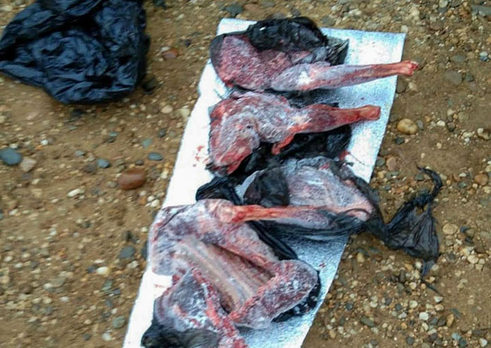 Мясо лося и косули изъяли у охотников в Мазановском районе