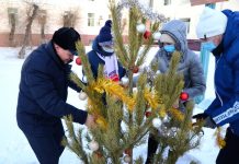 Территорию областной детской больницы в Приамурье украсили новогодней ёлкой