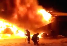Предполагаемая причина страшного пожара в фермерском хозяйстве Приамурья — поджог