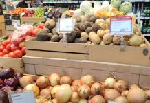 Губернатор Василий Орлов: «Для обеспечения Приамурья овощами и картофелем необходимо увеличить их производство вдвое»