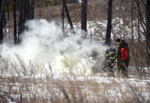 Циклон принесёт в Приамурье сильный ветер и угрозу ландшафтных пожаров