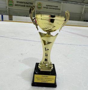 После победы в турнире хоккейная команда «Свободный» перешла в первую группу