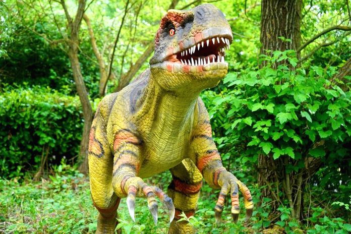 Губернатор Василий Орлов: «Новый парк динозавров в Благовещенске должны быть бесплатным для детей»