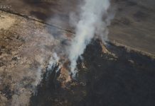 Обнаруживать поджигателей в Приамурье помогают квадрокоптеры