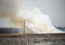 Причиной всех природных пожаров в Приамурье стала деятельность местного населения