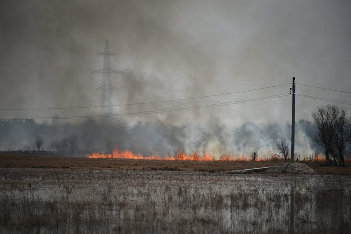 Причиной всех природных пожаров в Приамурье стала деятельность местного населения