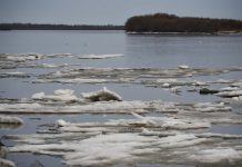 Река Зея около Свободного почти очистилась ото льда