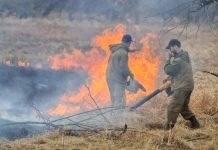 Природные пожары подбираются к свободненским сёлам и городским окраинам