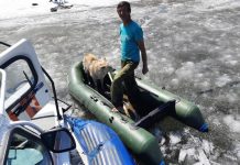 Амурские спасатели помогли застрявшему на Бурейском водохранилище мужчине с собакой