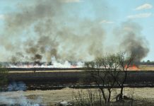 Природными пожарами этой весной была охвачена значительная часть Свободненского района
