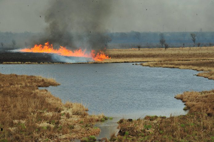 Природными пожарами этой весной была охвачена значительная часть Свободненского района