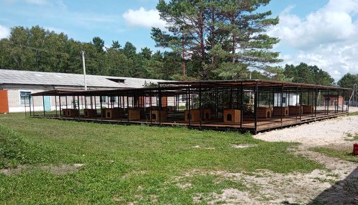 Обитатели нового приюта для животных в Шимановске будут жить в комфортных условиях