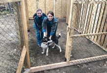 Волонтёры СИБУРа высадят саженцы в Свободном и благоустроят приют для животных