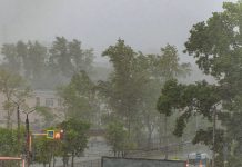 Свободный накануне циклона: на территории города введён режим повышенной готовности