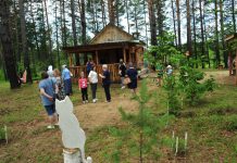 Туристический объект «Лесная деревенька» создали на дальневосточных гектарах в Свободненском районе
