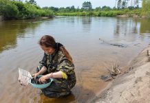 Гидробиологи исследуют речку Большая Пёра в районе Амурского ГПЗ
