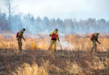 Губернатор Василий Орлов: «Все возможные риски пожаров в районах Приамурья надо свести к минимуму»