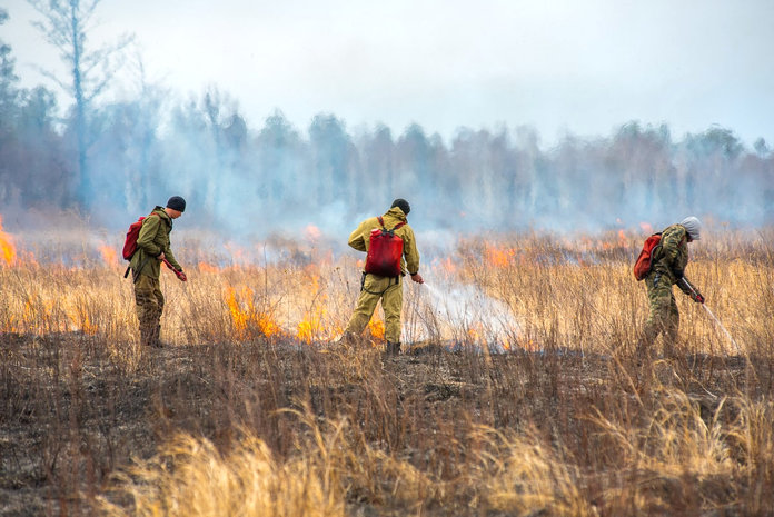 Причиной лесного пожара недалеко от микрорайона Дубовка в Свободном мог стать поджог