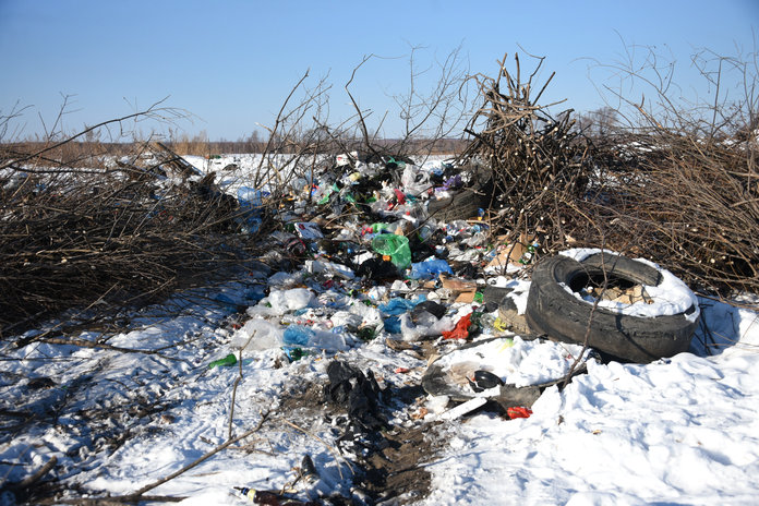 «Экологические платежи» от предприятий пойдут и на очистку амурских лесов от мусора