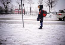 Младшие школьники в Свободном из-за морозов перейдут на дистанционное обучение