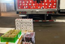 Овощи и фрукты из Китая впервые завезли в Амурскую область по международному мосту