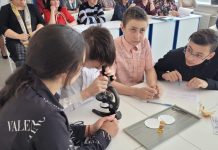 Педагоги Свободненского района обменялись опытом на семинаре в Черновской школе
