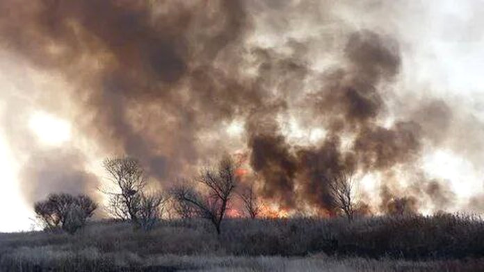 Четыре природных пожара ликвидированы в Свободненском и Шимановском районах