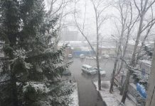 Апрельский циклон принёс в Приамурье снег и похолодание