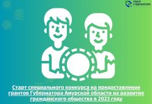 Некоммерческие организации Приамурья получат 4 млн рублей в июне 2023 года