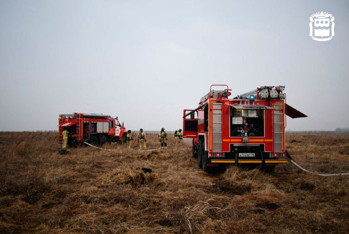 Причиной лесного пожара недалеко от микрорайона Дубовка в Свободном мог стать поджог