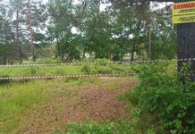 На дальневосточных гектарах в Свободненском районе появятся клёвые пруды