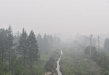 Северный ветер принёс дым лесных пожаров из Якутии и Хабаровского края на территорию Приамурья