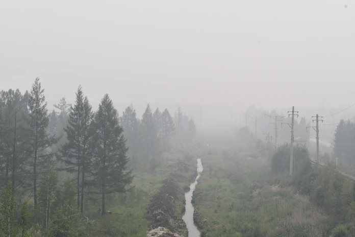 Северный ветер принёс дым лесных пожаров из Якутии и Хабаровского края на территорию Приамурья