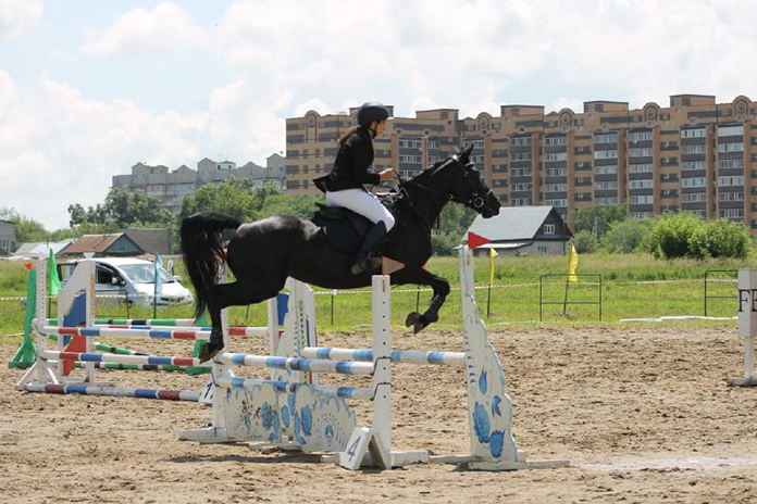 В амурской столице проходят межрегиональные соревнования по конному спорту