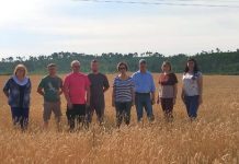 Аграрии Свободненского района делились опытом на ежегодном Дне поля