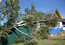 В ночь на 8 сентября шквалистый ветер в Приамурье валил деревья и срывал крыши