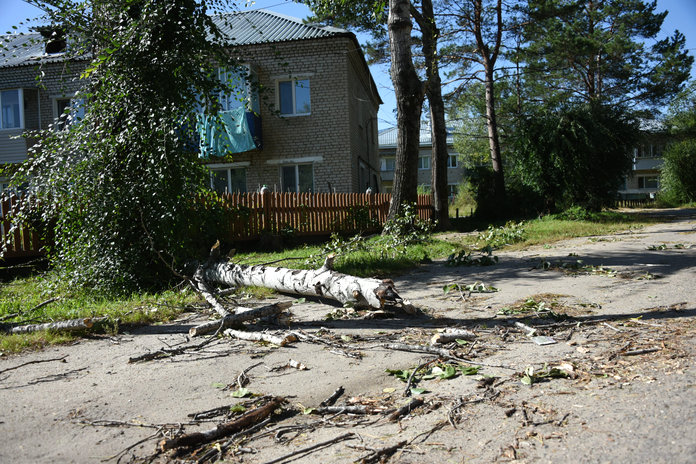 В ночь на 8 сентября шквалистый ветер в Приамурье валил деревья и срывал крыши