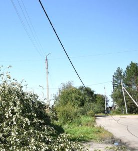 Электромонтёр и слесарь погибли в Приамурье на своих рабочих местах во время шквалистого ветра