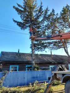 В свободненском селе родителям участника СВО помогли спилить большое дерево во дворе дома