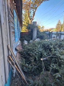 В свободненском селе родителям участника СВО помогли спилить большое дерево во дворе дома