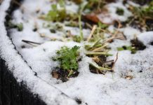 Циклонический вихрь принесёт снег на север Приамурья