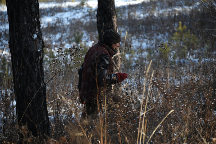 Лесорубы «дочищают» сосновый бор в урочище Сухая падь недалеко от Свободного