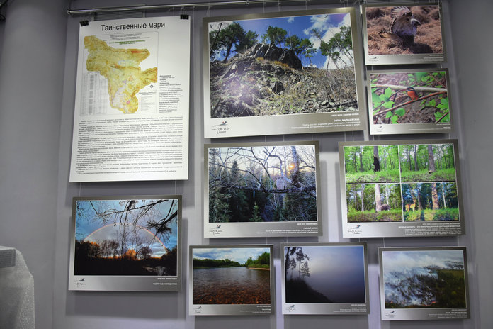 Уникальные фотографии из амурских заповедников были представлены на выставке в музее