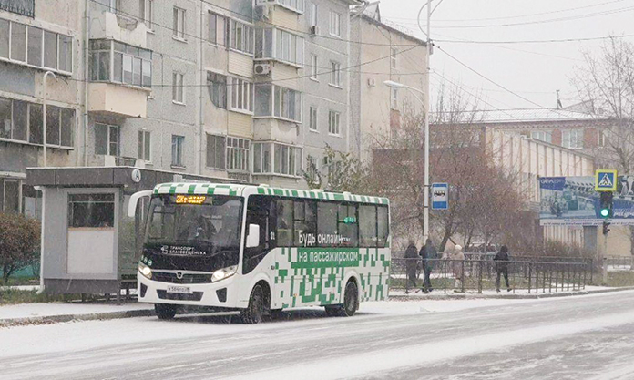 С начала года в Приамурье произошло 29 ДТП с участием рейсовых автобусов