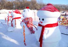 Туристы из России едут через Амур в снежный парк Хэйхэ и на фестиваль ледовых скульптур в Харбин