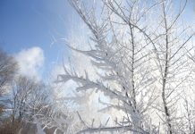 Морозы задержатся в Приамурье до конца января