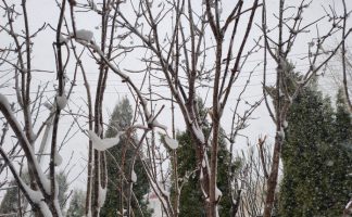 В Приамурье ожидается ухудшение погодных условий