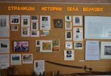 «Единая Россия» запустила региональный этап федерального конкурса среди школьных музеев Приамурья